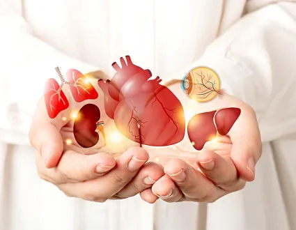 Organ Nakli Merkezi Organ Nakli Merkezi